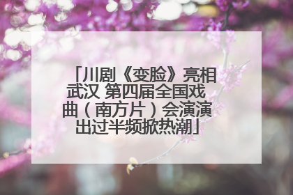 川剧《变脸》亮相武汉 第四届全国戏曲（南方片）会演演出过半频掀热潮