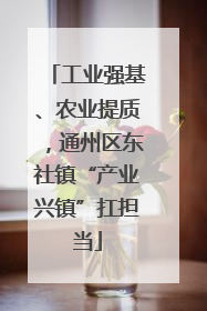 工业强基、农业提质，通州区东社镇“产业兴镇”扛担当