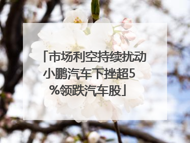 市场利空持续扰动 小鹏汽车下挫超5%领跌汽车股