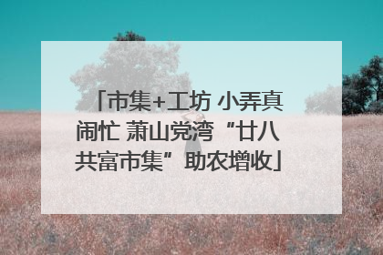 市集+工坊 小弄真闹忙 萧山党湾“廿八共富市集”助农增收