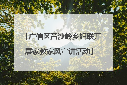 广信区黄沙岭乡妇联开展家教家风宣讲活动
