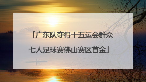 广东队夺得十五运会群众七人足球赛佛山赛区首金