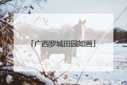广西罗城田园如画