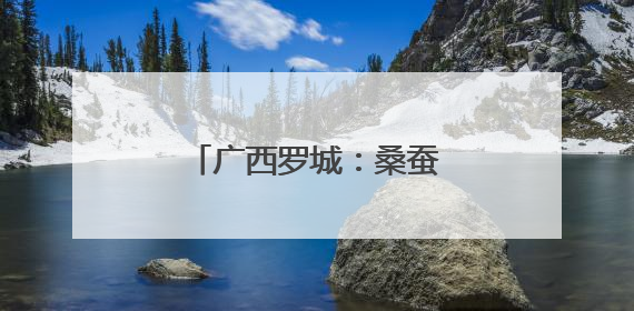 广西罗城：桑蚕丰收 助农增收