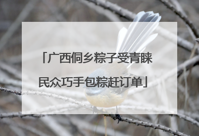 广西侗乡粽子受青睐 民众巧手包粽赶订单