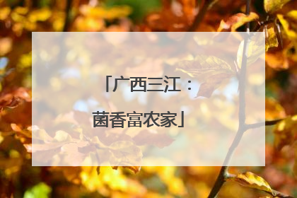广西三江：菌香富农家