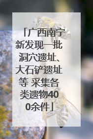 广西南宁新发现一批洞穴遗址、大石铲遗址等 采集各类遗物400余件