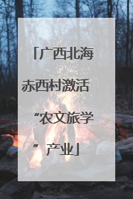 广西北海赤西村激活“农文旅学”产业