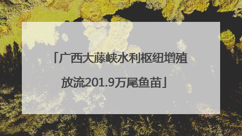 广西大藤峡水利枢纽增殖放流201.9万尾鱼苗