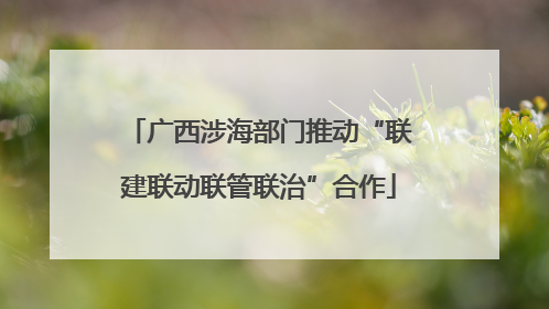 广西涉海部门推动“联建联动联管联治”合作