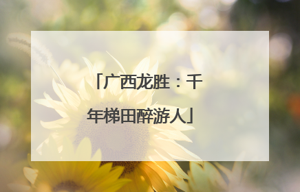 广西龙胜：千年梯田醉游人