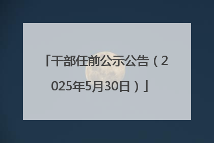 干部任前公示公告（2025年5月30日）