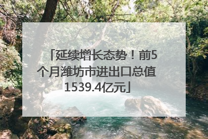 延续增长态势！前5个月潍坊市进出口总值1539.4亿元
