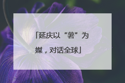 延庆以“薯”为媒，对话全球