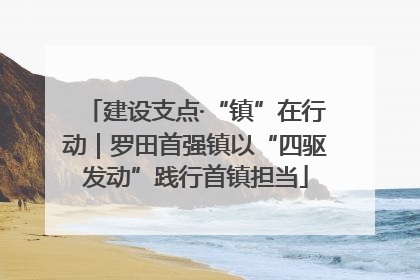 建设支点·“镇”在行动｜罗田首强镇以“四驱发动”践行首镇担当
