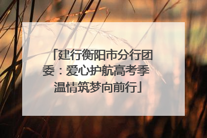 建行衡阳市分行团委：爱心护航高考季 温情筑梦向前行