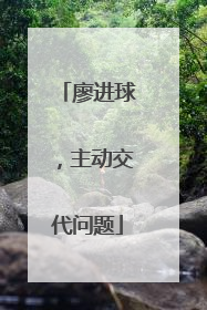 廖进球，主动交代问题