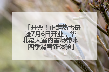 开票！正定热雪奇迹7月6日开业，华北最大室内雪场带来四季滑雪新体验