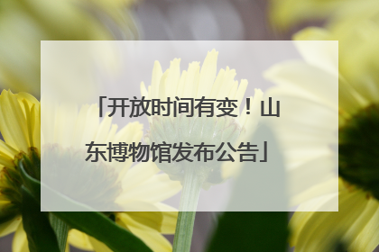 开放时间有变！山东博物馆发布公告