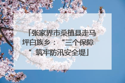 张家界市桑植县走马坪白族乡：“三个保障”筑牢防汛安全堤