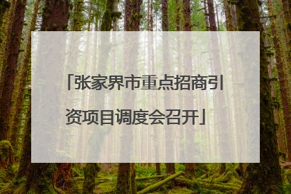 张家界市重点招商引资项目调度会召开