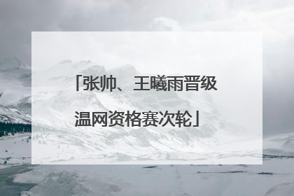 张帅、王曦雨晋级温网资格赛次轮