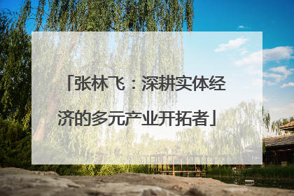 张林飞：深耕实体经济的多元产业开拓者