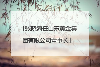张晓海任山东黄金集团有限公司董事长