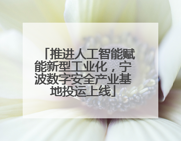 推进人工智能赋能新型工业化，宁波数字安全产业基地投运上线