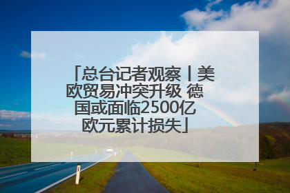 总台记者观察丨美欧贸易冲突升级 德国或面临2500亿欧元累计损失