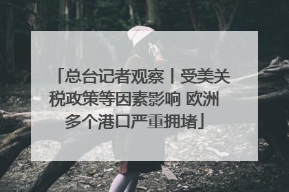 总台记者观察丨受美关税政策等因素影响 欧洲多个港口严重拥堵