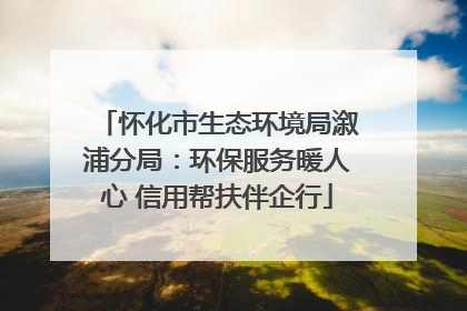 怀化市生态环境局溆浦分局：环保服务暖人心 信用帮扶伴企行