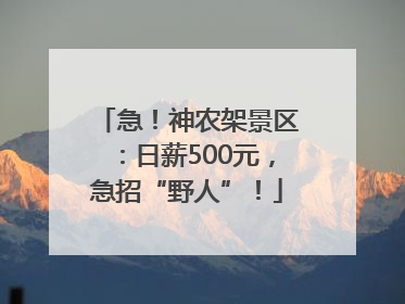 急！神农架景区：日薪500元，急招“野人”！