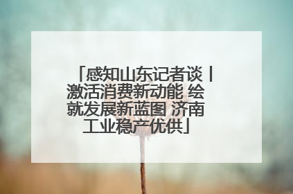 感知山东记者谈丨激活消费新动能 绘就发展新蓝图 济南工业稳产优供