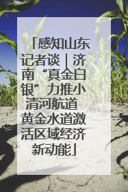 感知山东记者谈｜济南“真金白银”力推小清河航道 黄金水道激活区域经济新动能