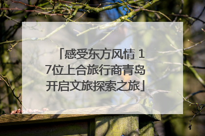 感受东方风情 17位上合旅行商青岛开启文旅探索之旅