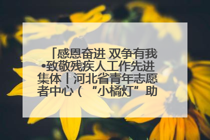 感恩奋进 双争有我•致敬残疾人工作先进集体丨河北省青年志愿者中心（“小橘灯”助残接力计划实施团队）：用温暖陪伴，守护特殊孩子成长