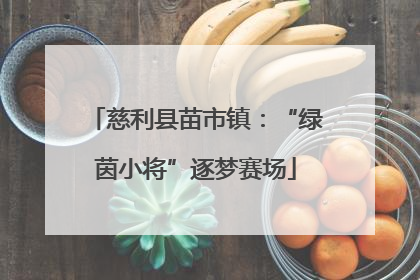 慈利县苗市镇：“绿茵小将”逐梦赛场