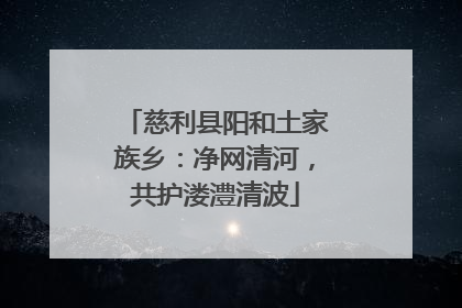 慈利县阳和土家族乡：净网清河，共护溇澧清波