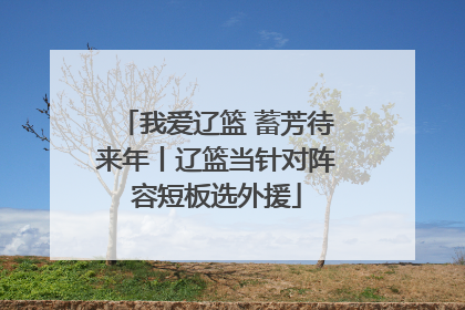 我爱辽篮 蓄芳待来年丨辽篮当针对阵容短板选外援