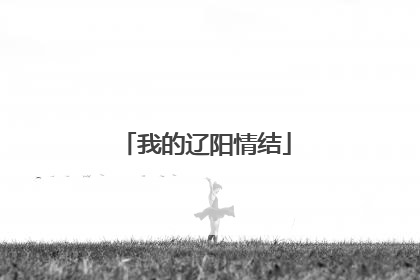 我的辽阳情结