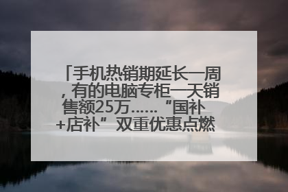手机热销期延长一周，有的电脑专柜一天销售额25万……“国补+店补”双重优惠点燃德州“考后经济”