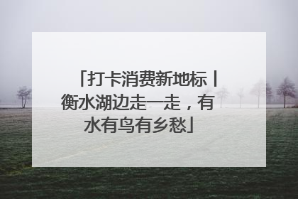 打卡消费新地标丨衡水湖边走一走，有水有鸟有乡愁