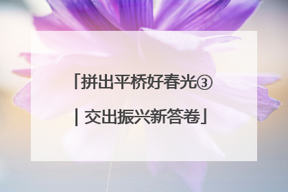 拼出平桥好春光③｜交出振兴新答卷