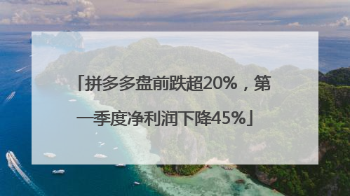 拼多多盘前跌超20%，第一季度净利润下降45%
