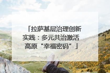 拉萨基层治理创新实践：多元共治激活高原“幸福密码”