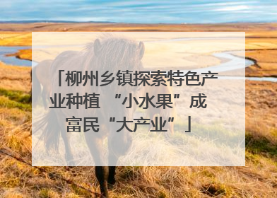 柳州乡镇探索特色产业种植 “小水果”成富民“大产业”