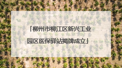 柳州市柳江区新兴工业园区医保驿站揭牌成立