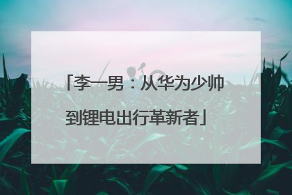 李一男：从华为少帅到锂电出行革新者