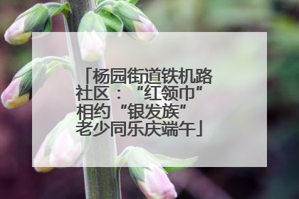 杨园街道铁机路社区：“红领巾”相约“银发族” 老少同乐庆端午